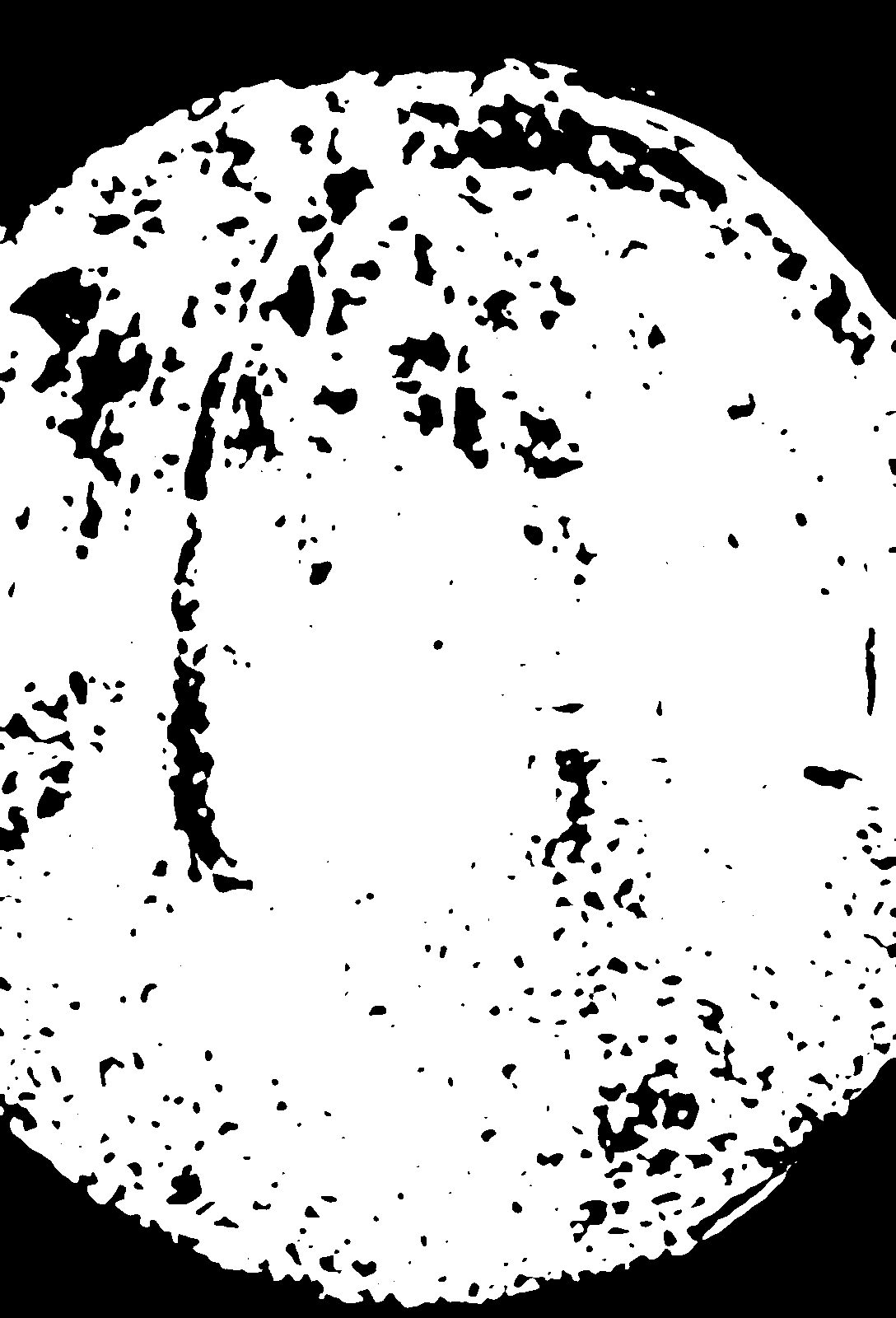 Lens is shifted down.