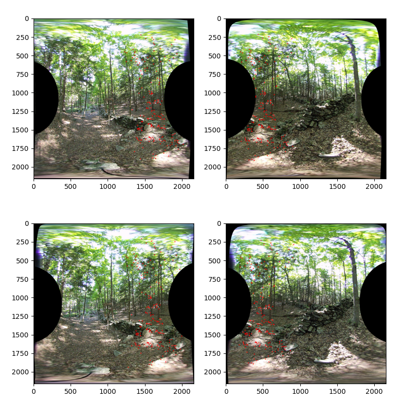 Woods image seam 0 with match density reduction
