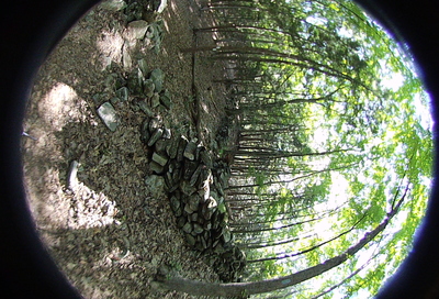 Right-eye, facing right.