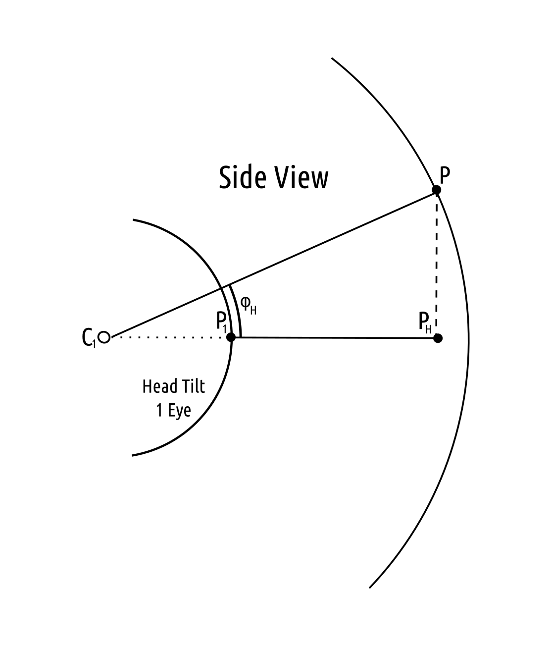 Side view of the head coordinate system.