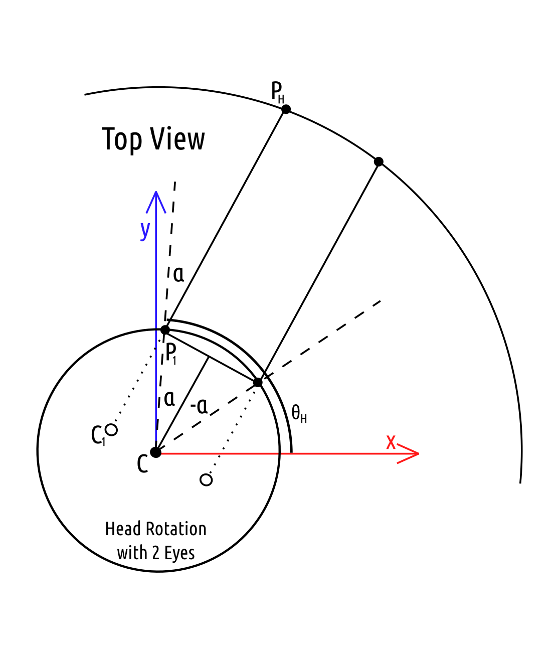 Top view of the head coordinate system.