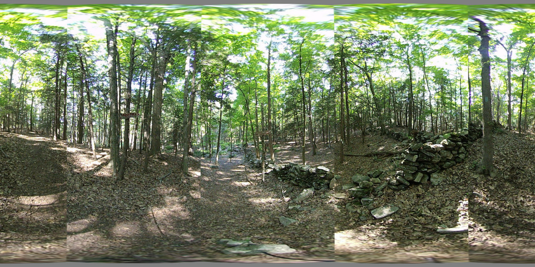 Google Photos compatible 3D 360 VR