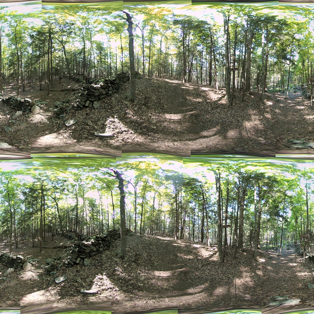 Global color correction fixes the seam lines.