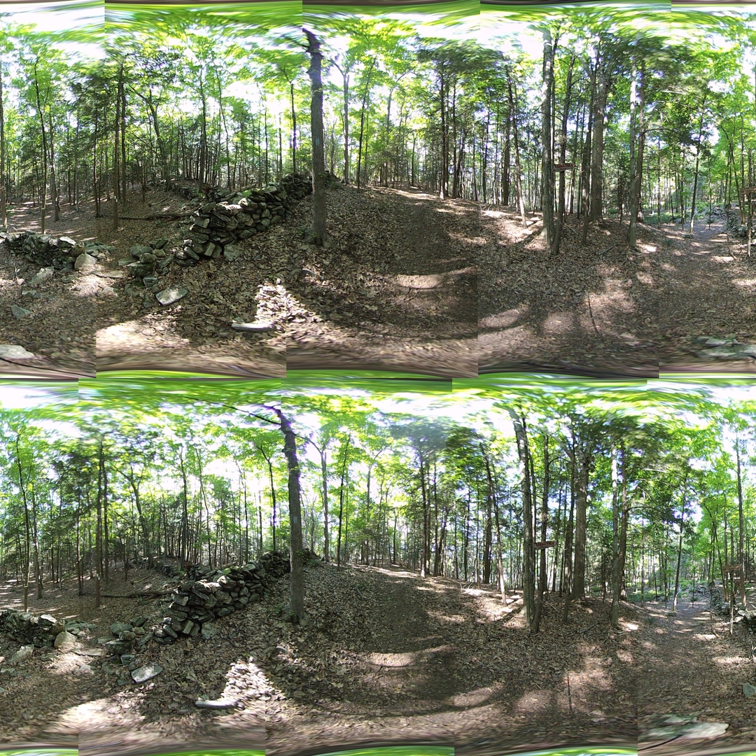 Example of merged image.