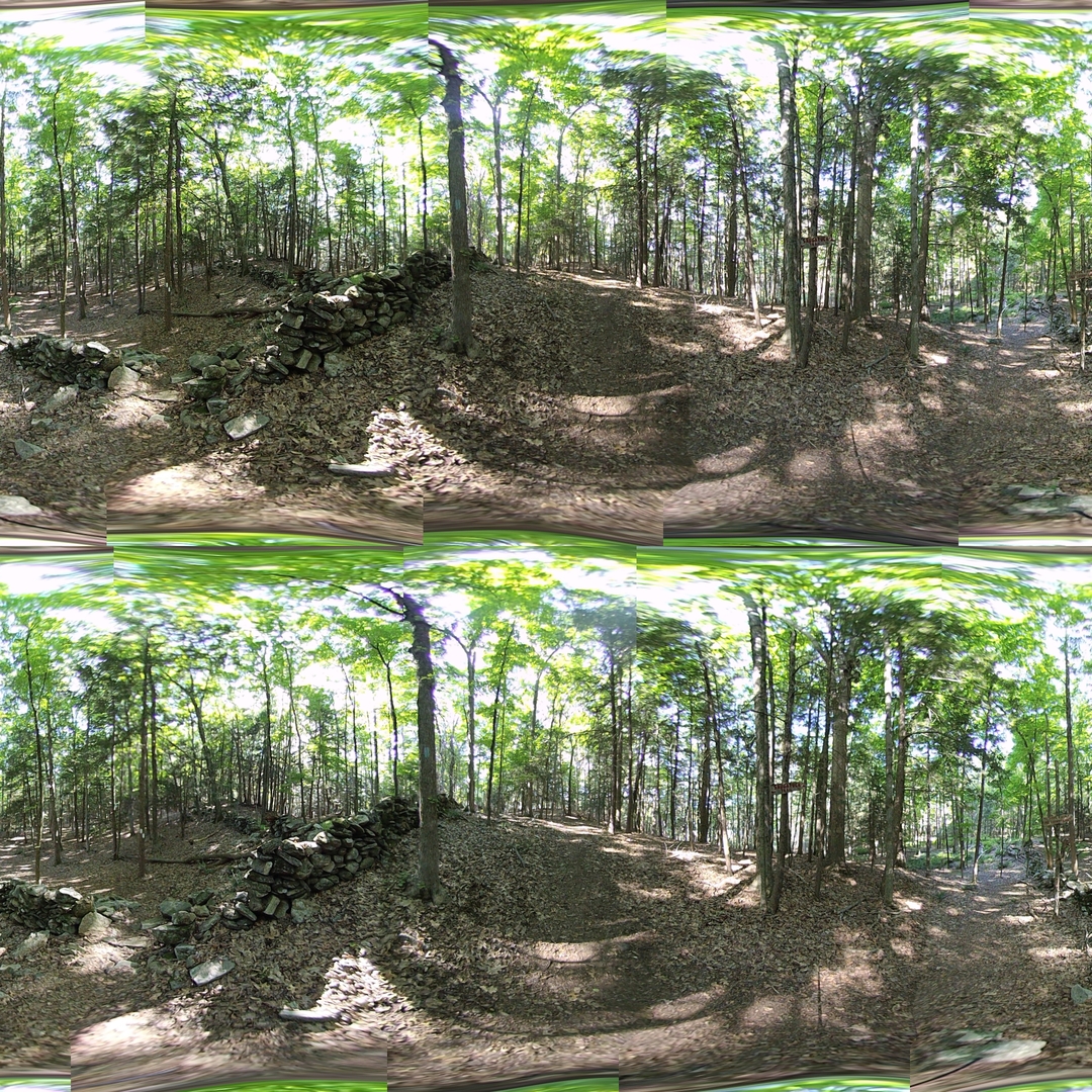 Example of merged image.