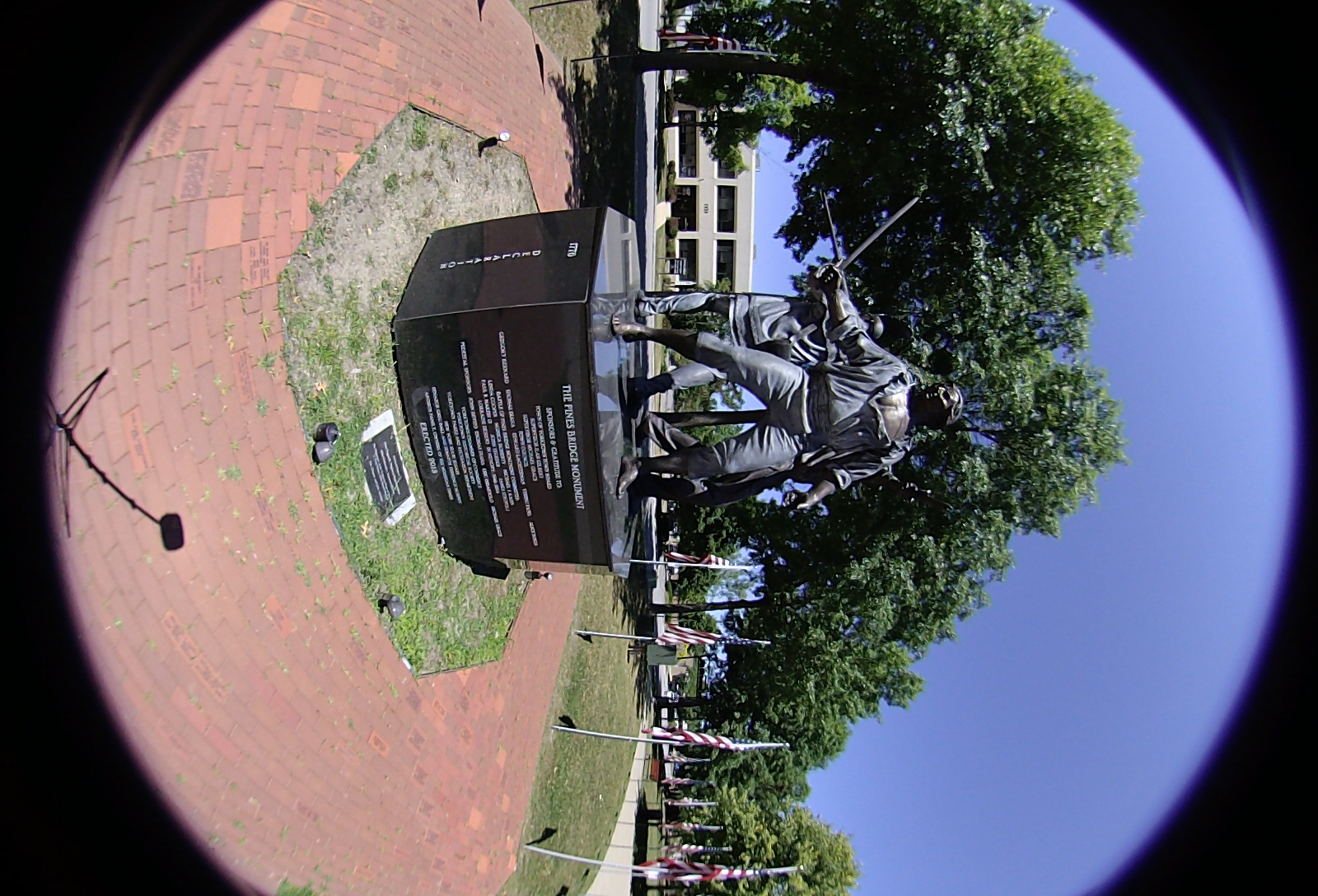 Right-eye, facing forward.