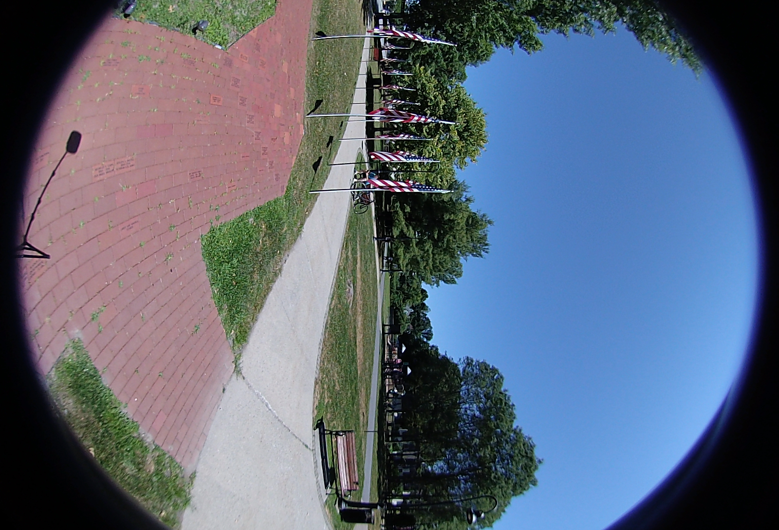 Left-eye, facing right.