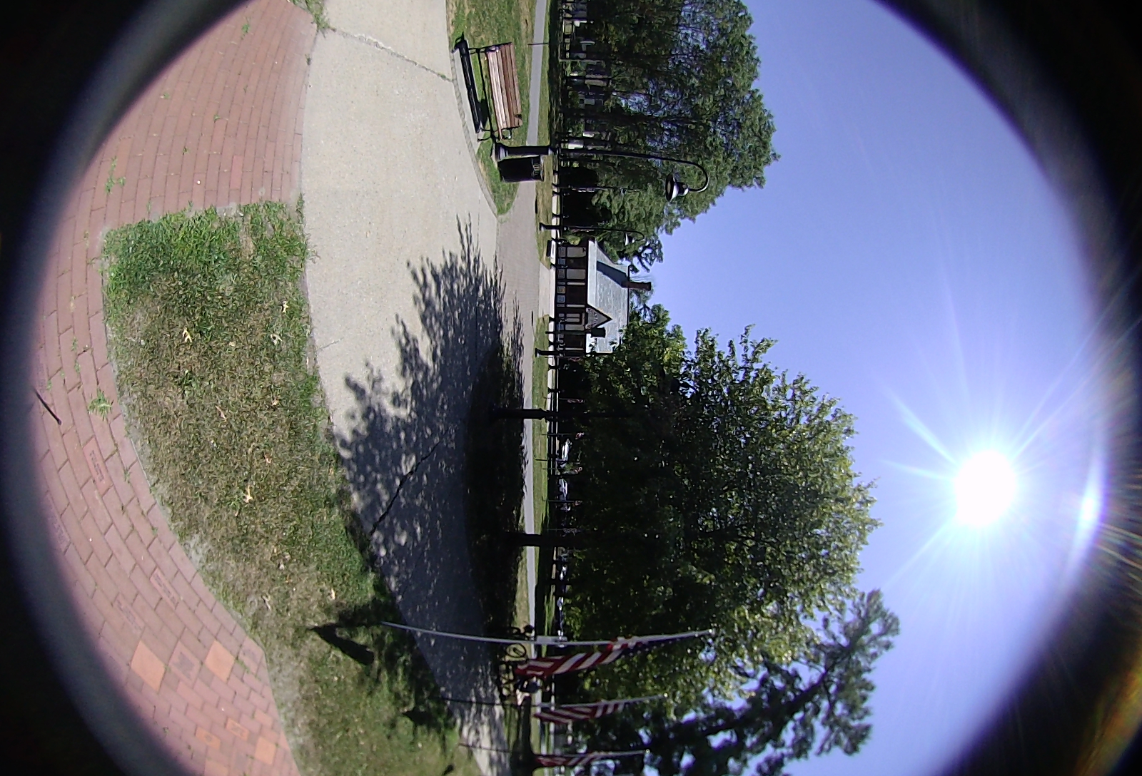 Right-eye, facing backwards.