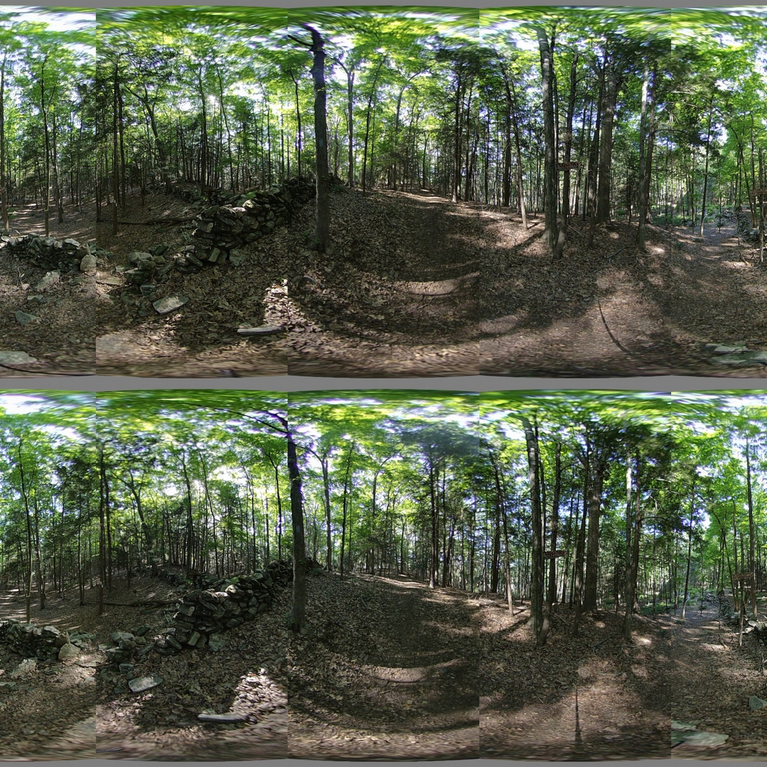 Enfuse fused exposure before stitching.