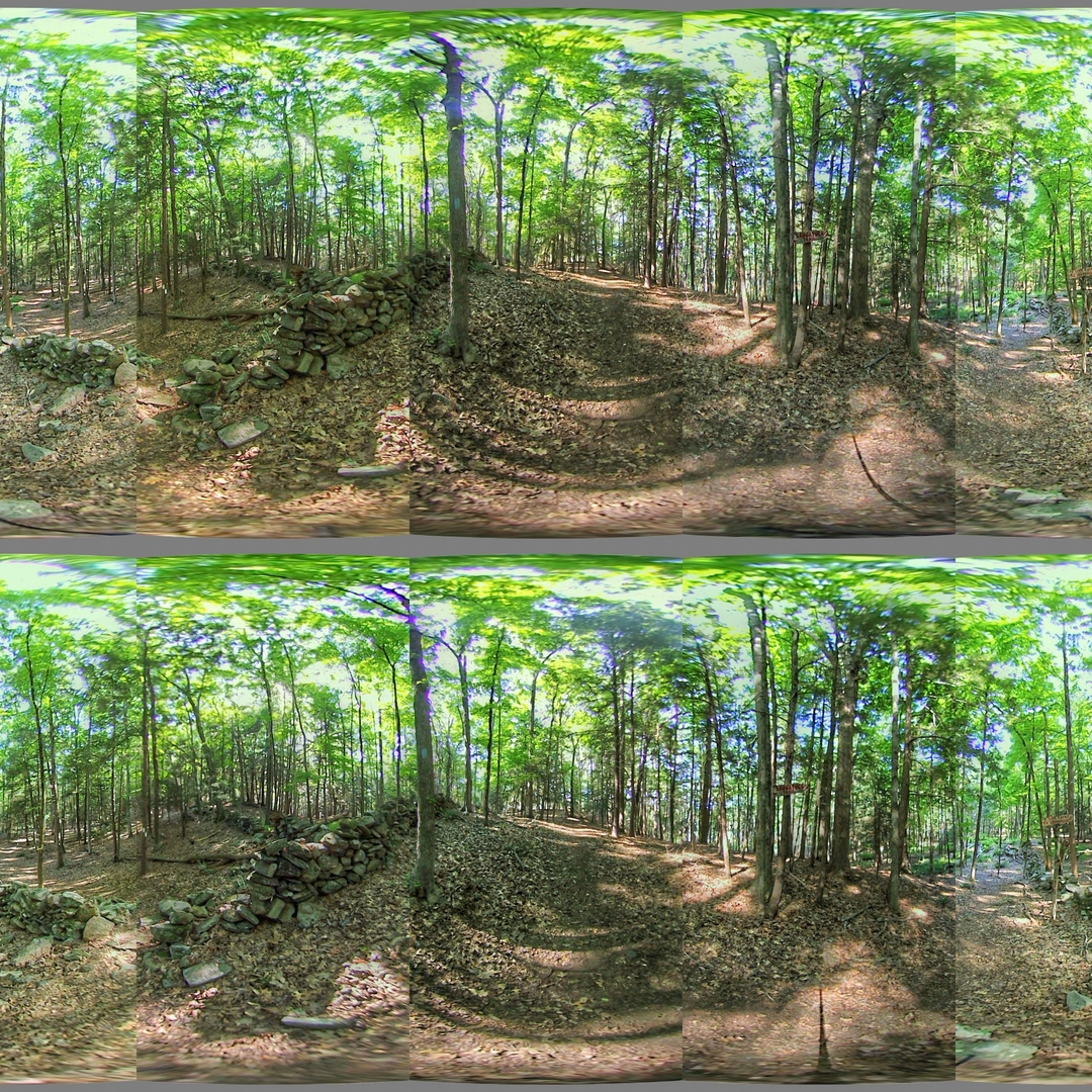 Luminance HDR fused exposure before stitching.